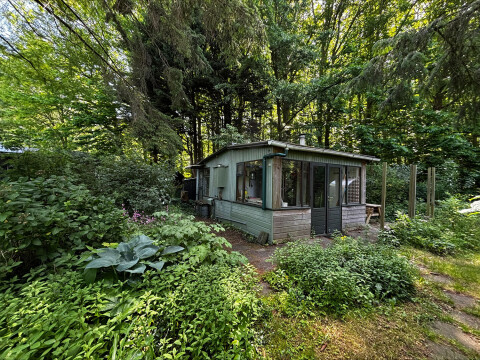 Tuin2 6